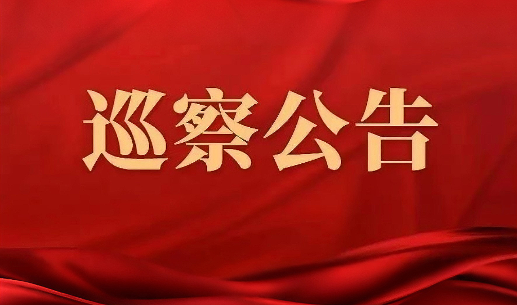巡察公告